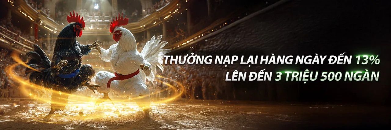 Đá Gà Trực Tuyến Hấp Dẫn tại you88